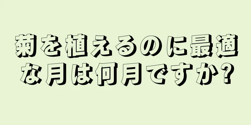 菊を植えるのに最適な月は何月ですか?