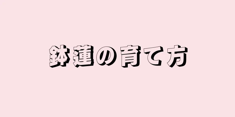 鉢蓮の育て方