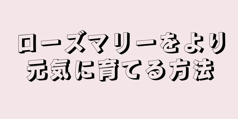 ローズマリーをより元気に育てる方法
