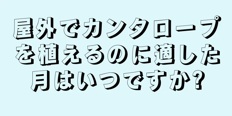 屋外でカンタロープを植えるのに適した月はいつですか?