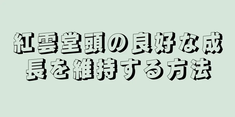 紅雲堂頭の良好な成長を維持する方法