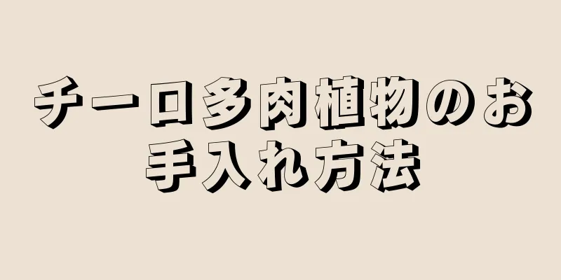 チーロ多肉植物のお手入れ方法