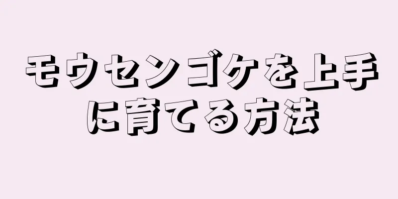 モウセンゴケを上手に育てる方法