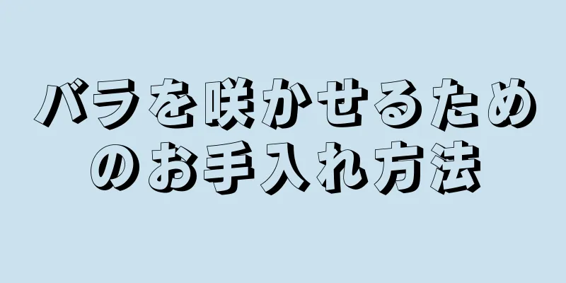 バラを咲かせるためのお手入れ方法