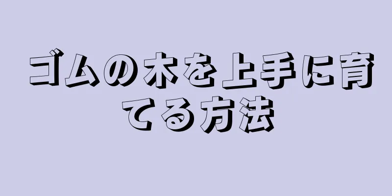 ゴムの木を上手に育てる方法