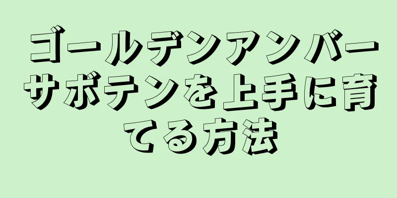 ゴールデンアンバーサボテンを上手に育てる方法
