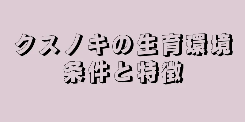 クスノキの生育環境条件と特徴