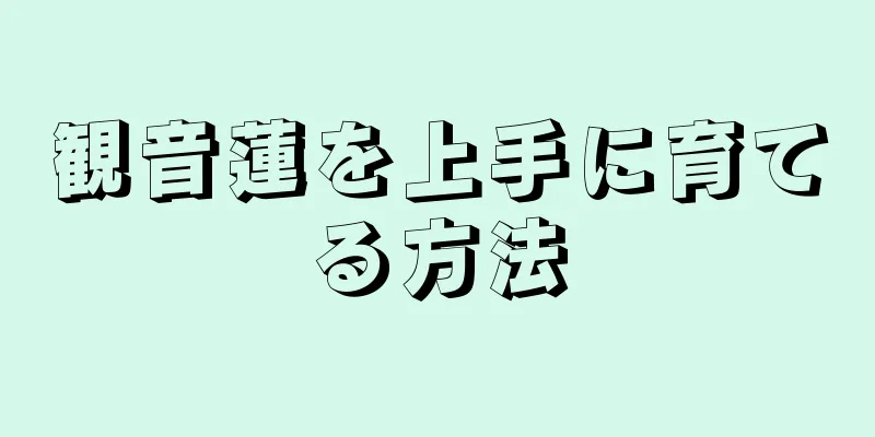 観音蓮を上手に育てる方法