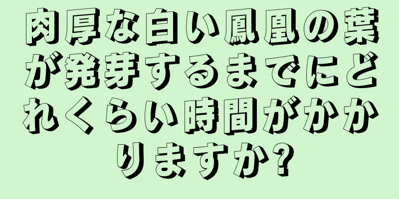 肉厚な白い鳳凰の葉が発芽するまでにどれくらい時間がかかりますか?