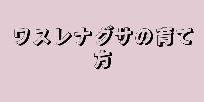 ワスレナグサの育て方