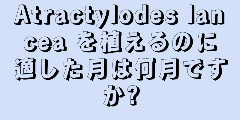 Atractylodes lancea を植えるのに適した月は何月ですか?