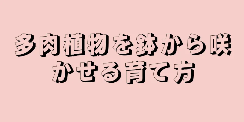 多肉植物を鉢から咲かせる育て方