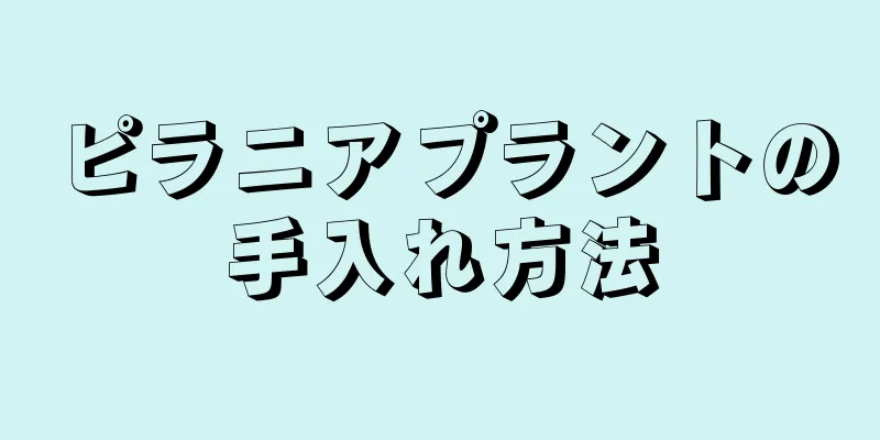 ピラニアプラントの手入れ方法