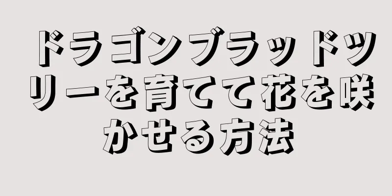 ドラゴンブラッドツリーを育てて花を咲かせる方法