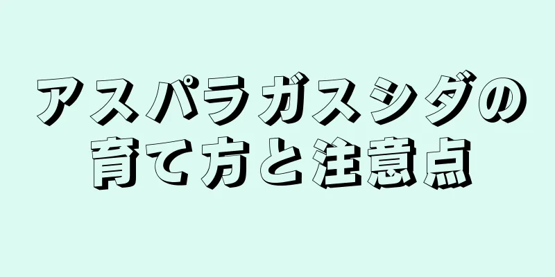 アスパラガスシダの育て方と注意点