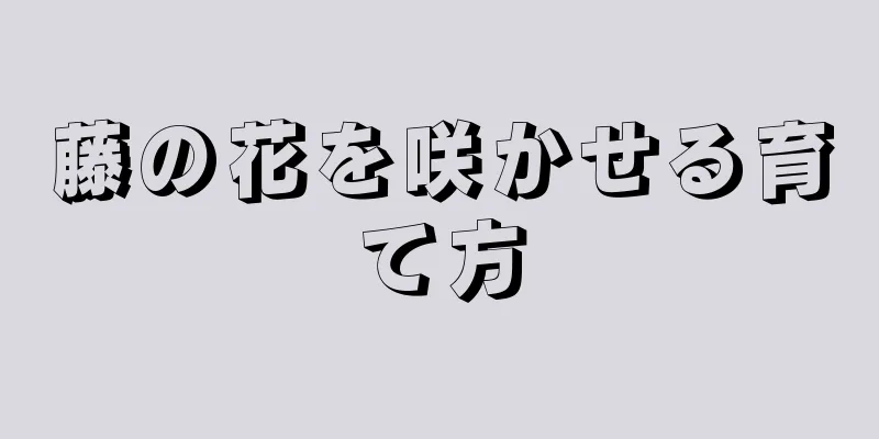藤の花を咲かせる育て方
