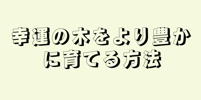 幸運の木をより豊かに育てる方法