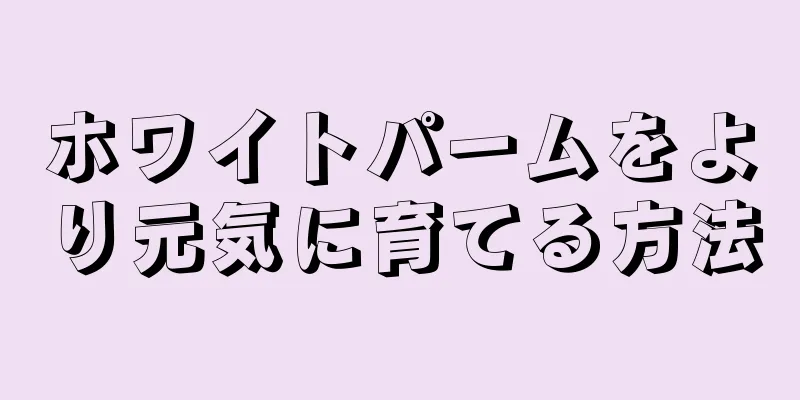 ホワイトパームをより元気に育てる方法