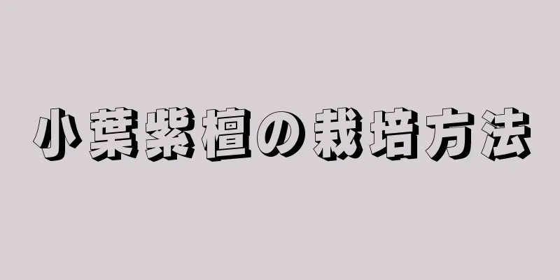 小葉紫檀の栽培方法