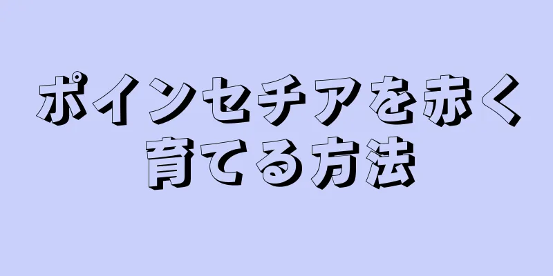 ポインセチアを赤く育てる方法