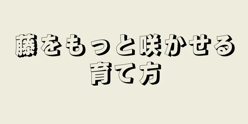 藤をもっと咲かせる育て方