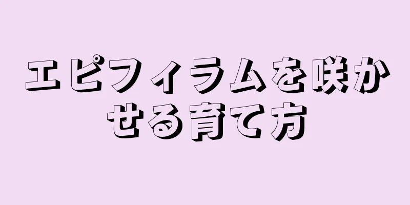 エピフィラムを咲かせる育て方