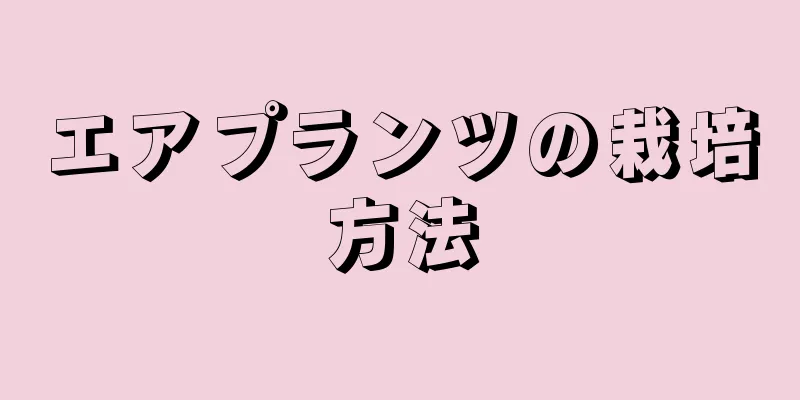 エアプランツの栽培方法