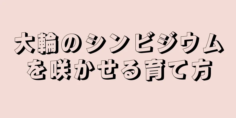 大輪のシンビジウムを咲かせる育て方