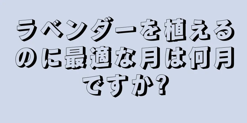 ラベンダーを植えるのに最適な月は何月ですか?