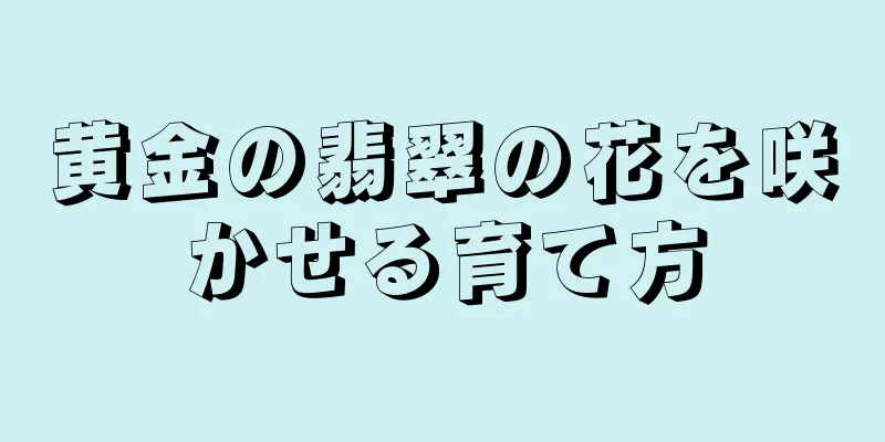 黄金の翡翠の花を咲かせる育て方