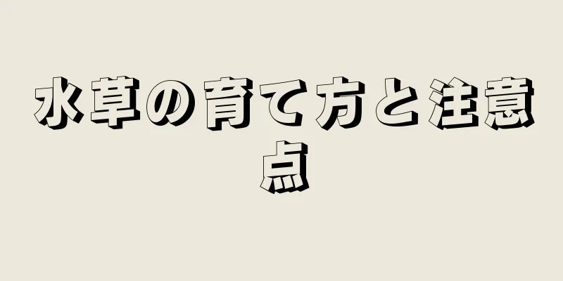 水草の育て方と注意点