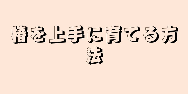 椿を上手に育てる方法