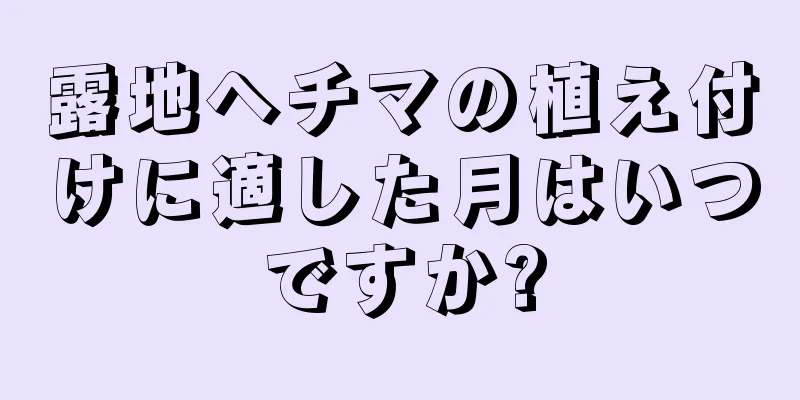 露地ヘチマの植え付けに適した月はいつですか?