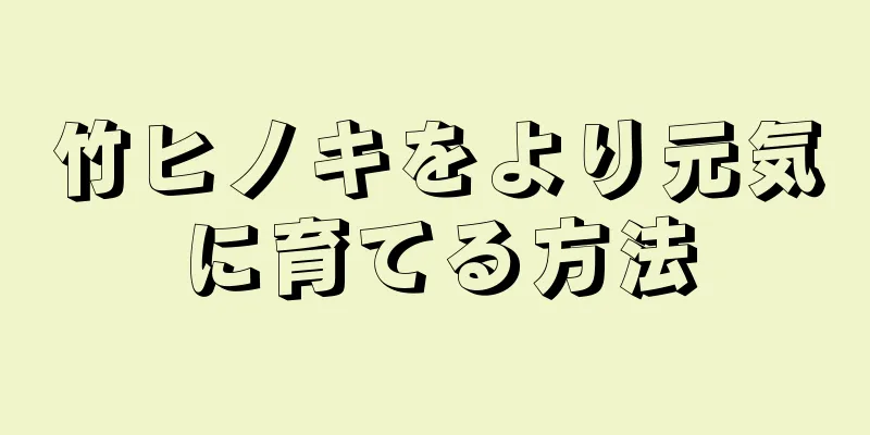 竹ヒノキをより元気に育てる方法