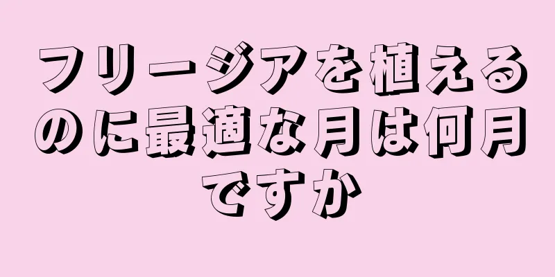 フリージアを植えるのに最適な月は何月ですか