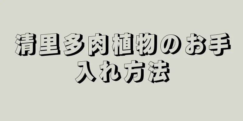 清里多肉植物のお手入れ方法