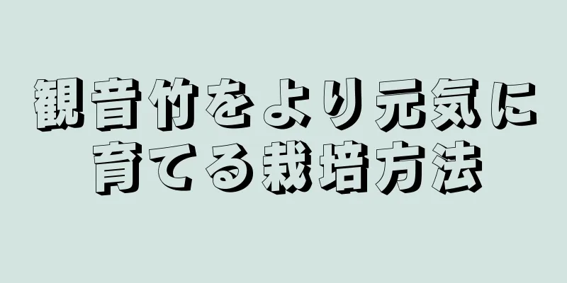 観音竹をより元気に育てる栽培方法
