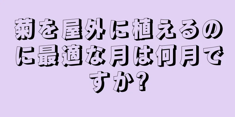 菊を屋外に植えるのに最適な月は何月ですか?