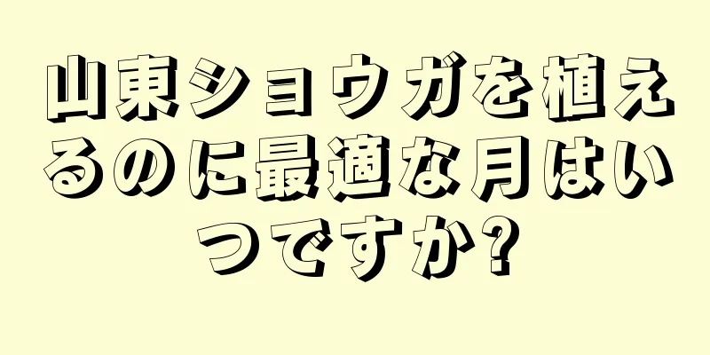 山東ショウガを植えるのに最適な月はいつですか?