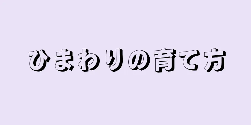 ひまわりの育て方