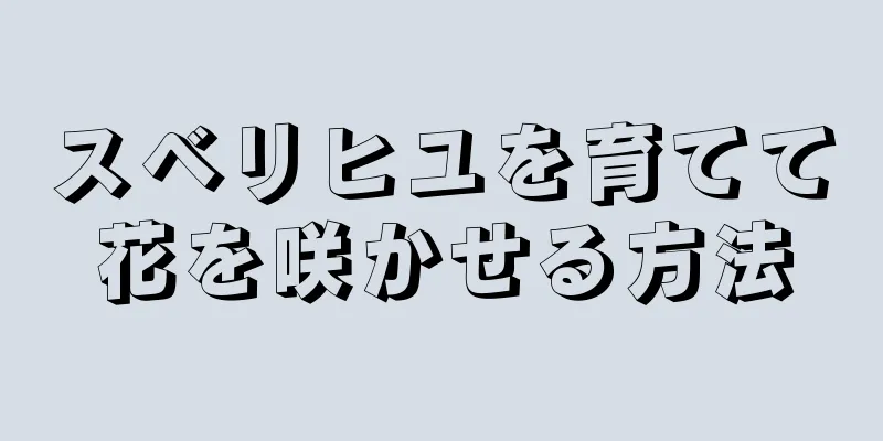 スベリヒユを育てて花を咲かせる方法