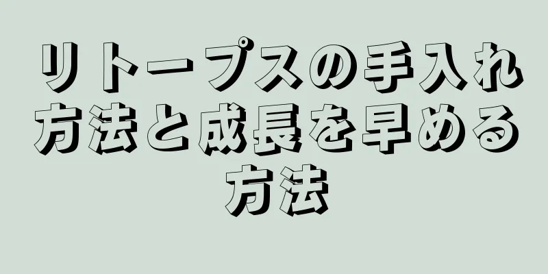 リトープスの手入れ方法と成長を早める方法