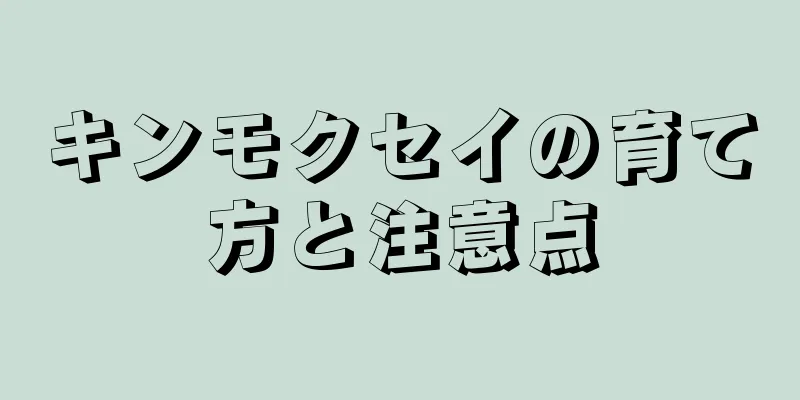 キンモクセイの育て方と注意点