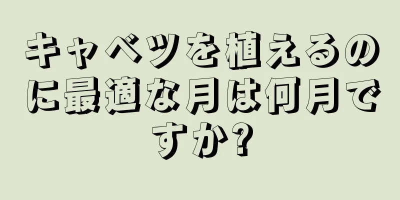 キャベツを植えるのに最適な月は何月ですか?
