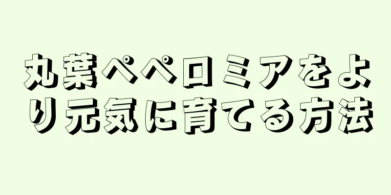 丸葉ペペロミアをより元気に育てる方法