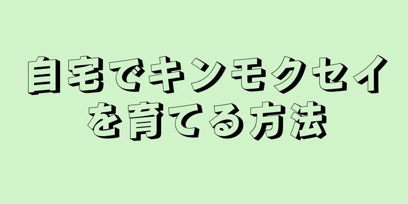 自宅でキンモクセイを育てる方法