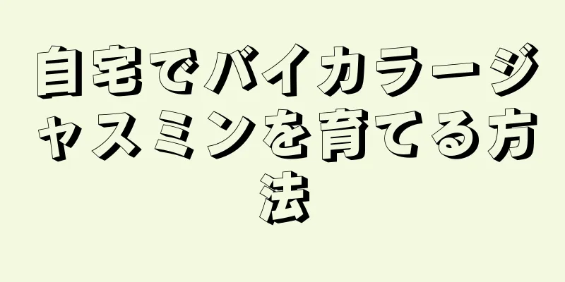 自宅でバイカラージャスミンを育てる方法