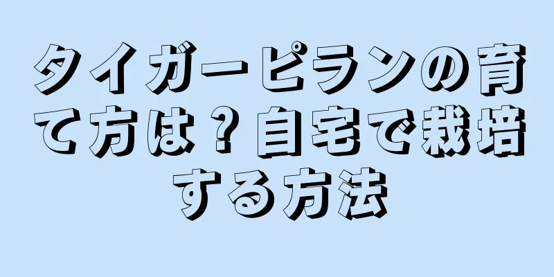 タイガーピランの育て方は？自宅で栽培する方法