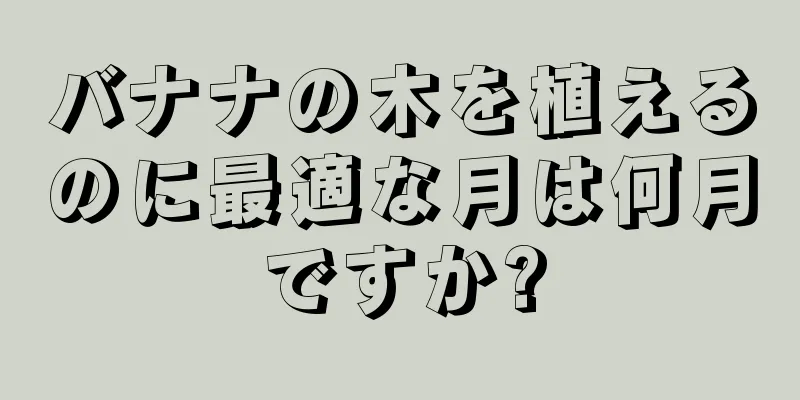 バナナの木を植えるのに最適な月は何月ですか?