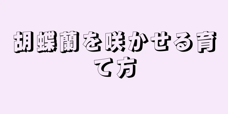 胡蝶蘭を咲かせる育て方